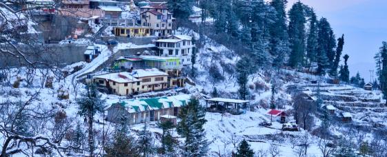 shimla