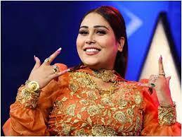 अफसाना खान: बिग बॉस 15 की प्रतियोगी गायक-प्रेमी साज के साथ शादी के बंधन में बंध गई।