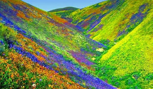 Image source: 365 Shop