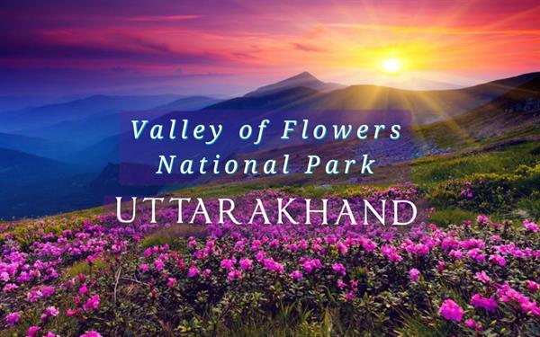 फूलों की घाटी राष्ट्रीय उद्यान : युनेस्को विश्व धरोहर स्थल