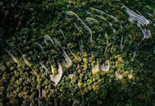 कोल्ली हिल्स रोड