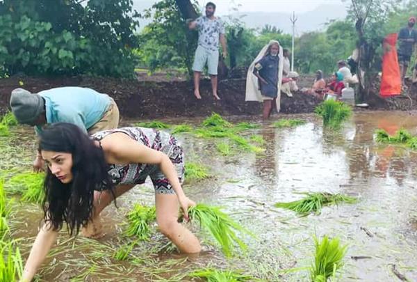 Shehnaaz Gill sowed paddy with the farmers.