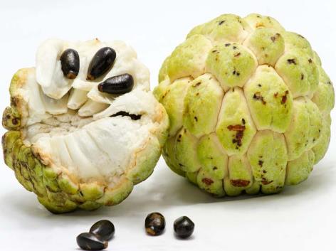 custard apple