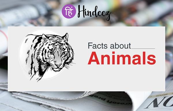 अद्वितीय जानवरों के बारे में 16 अनूठे तथ्य, विशिष्ट विशेषताएं।